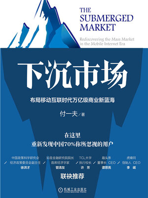 cover image of 下沉市场